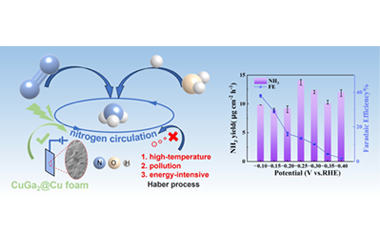 p-d orbital hybridization induced by CuGa2 promotes selective N2 electroreduction 2024.100468